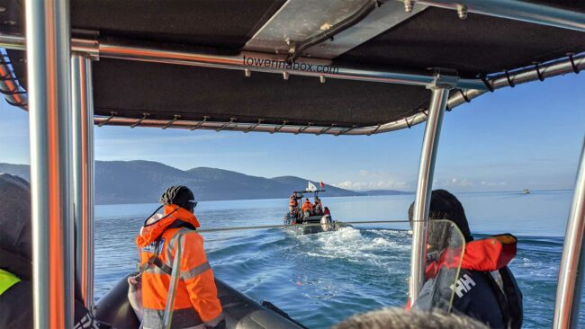 Visite de l'aire marine protégée de Gökova, en Turquie