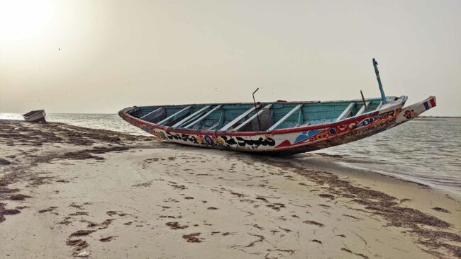 Plage du Banc d'Arguin, en Mauritanie