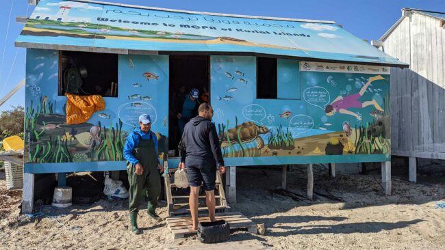 Visite de l'aire marine protégée des îles Kuriat en Tunisie