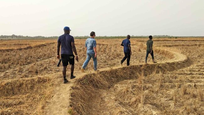 Visite de rizières abandonnées et asséchées en Guinée-Bissau, avril 2024