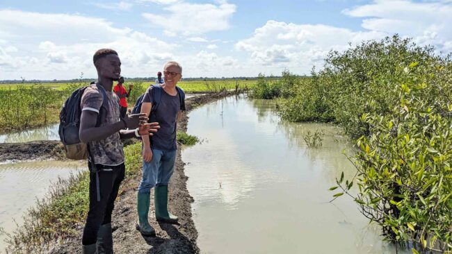 Sortie sur le terrain dans des rizières en Guinée-Bissau, septembre 2022