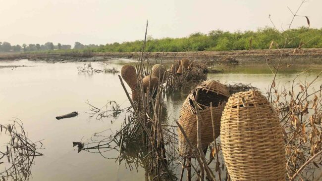 Paniers de pêche, Guinée-Bissau, avril 2024