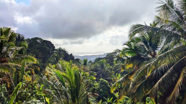 Île de Mayotte, septembre 2024