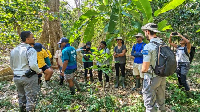 Visite d’un projet de conservation dans l’arrière-mangrove de Bouéni, Mayotte, septembre 2024