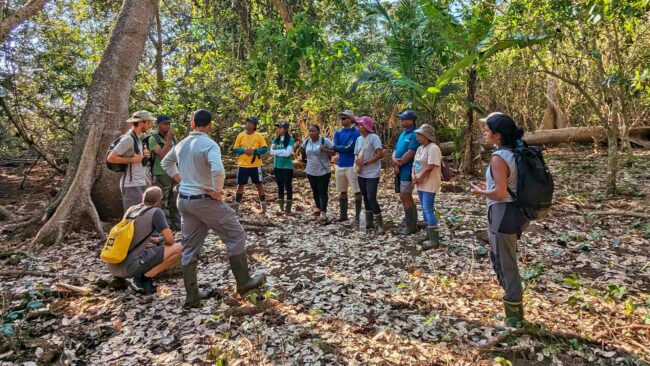 Visite d’un projet de conservation dans l’arrière-mangrove de Bouéni, Mayotte, septembre 2024