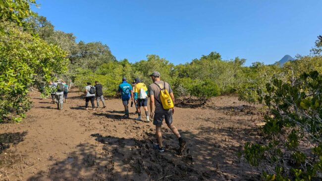 Visite d’un projet de conservation dans l’arrière-mangrove de Bouéni, Mayotte, septembre 2024